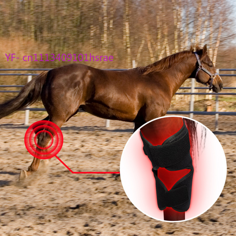 Built-in Battery Horse Red Lig - огляд і ціна Red Light Therapy Device