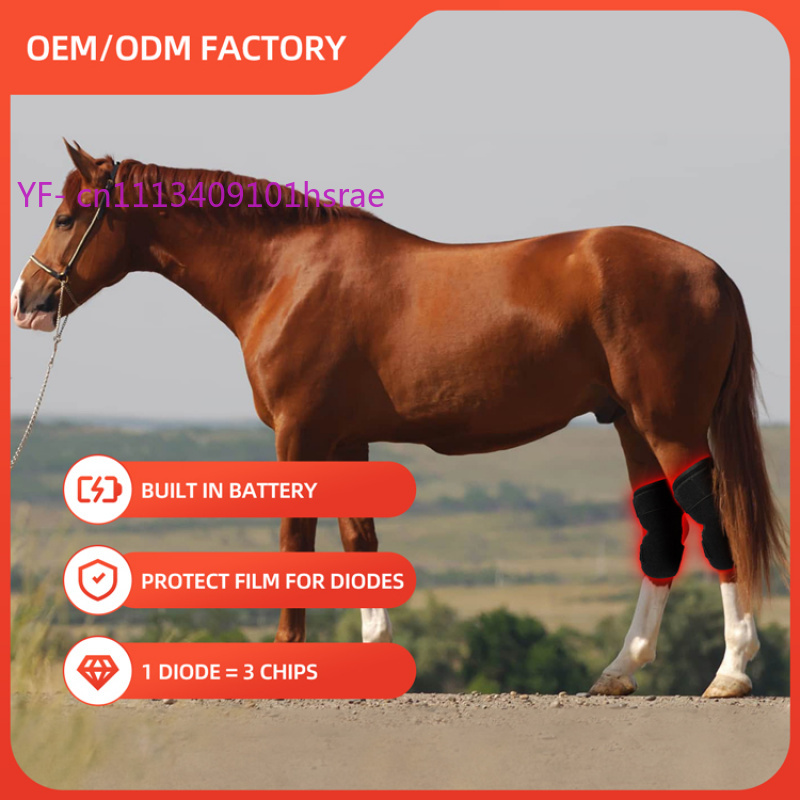 Built-in Battery Horse Red Lig - огляд і ціна Red Light Therapy Device