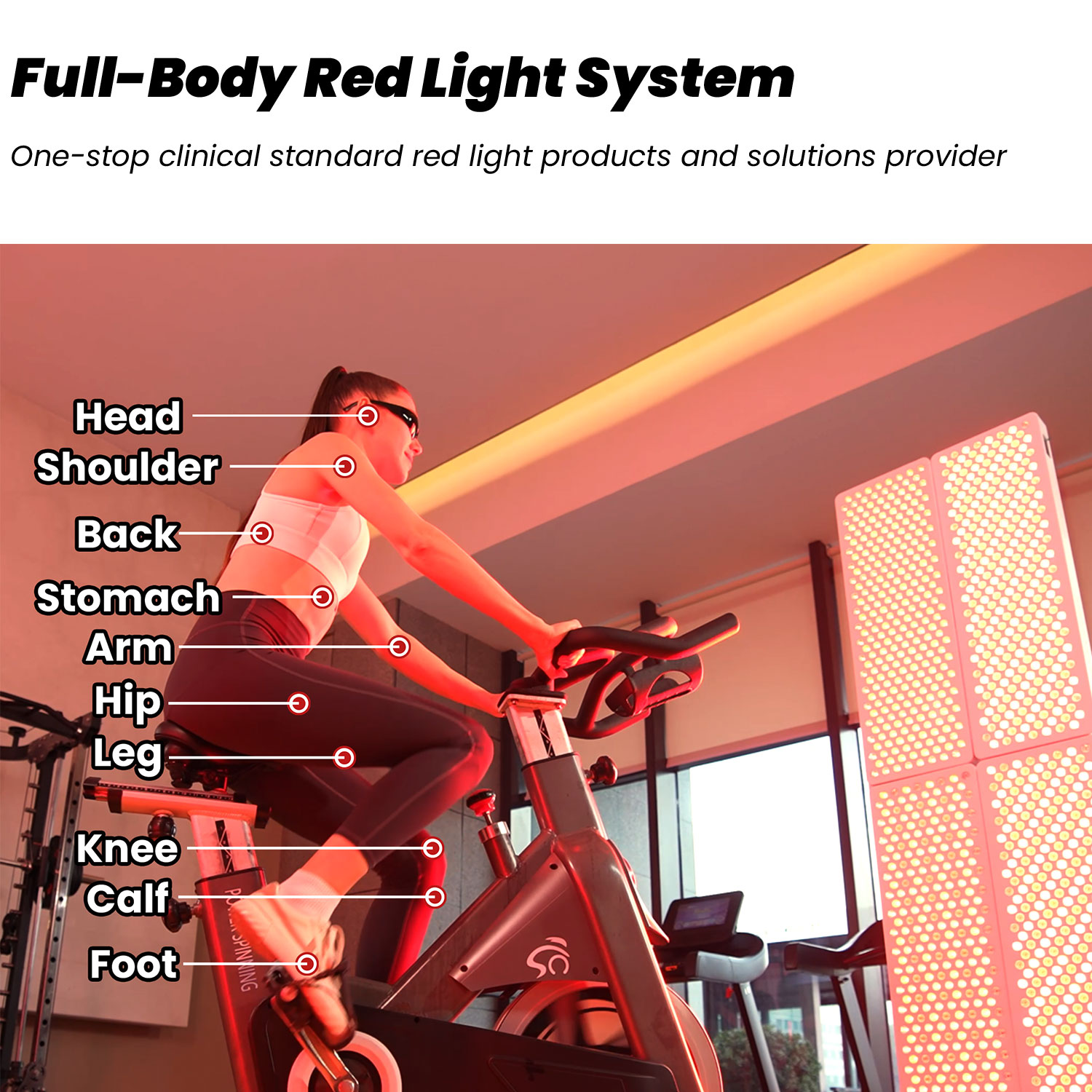 2026 IDEATHERAPY RL300MAX-CH F - огляд і ціна Red Light Therapy Device