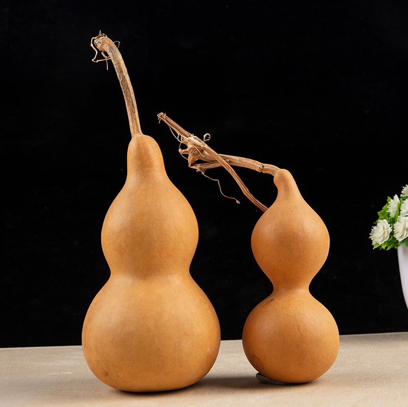 1pc Natural Gourd Handicraft O - огляд і ціна Longevity Health & Wellness Hotel