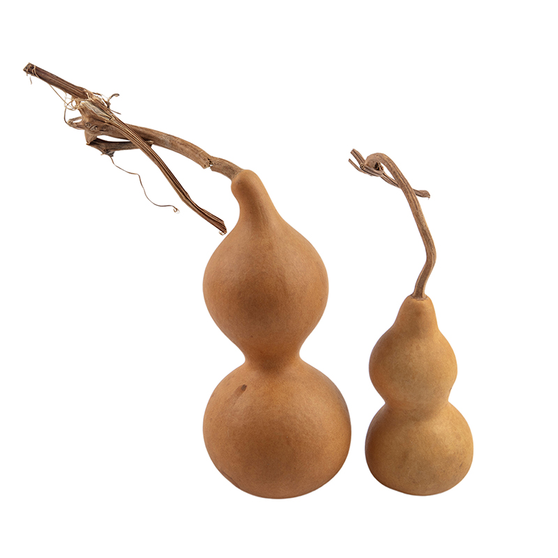 1pc Natural Gourd Handicraft O - огляд і ціна Longevity Health & Wellness Hotel